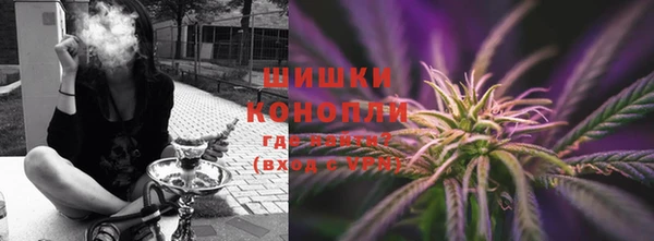 гашик Осташков