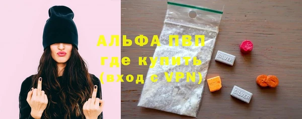 гашик Осташков