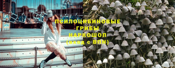 гашик Осташков