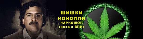 гашик Осташков