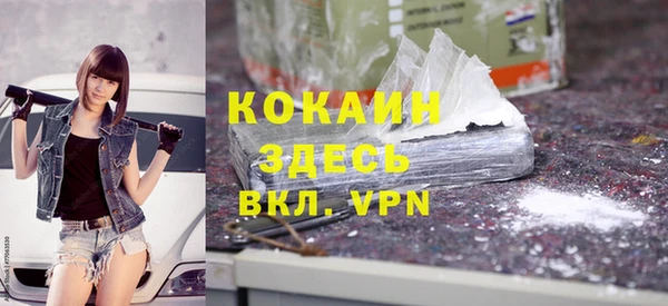 гашик Осташков
