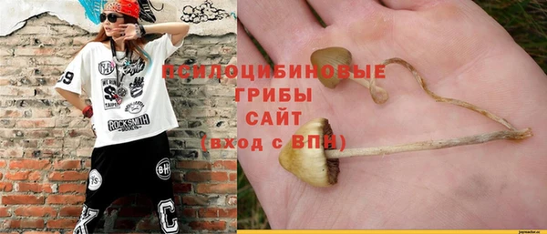 альфа пвп Великий Новгород