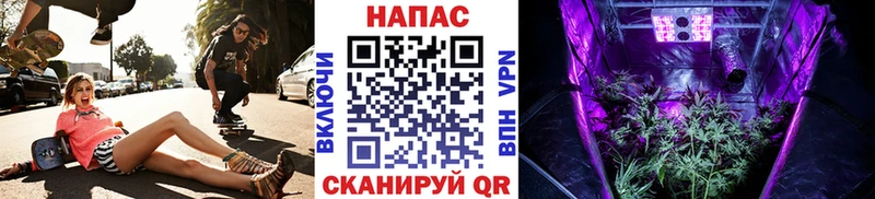 Конопля тримм Пошехонье